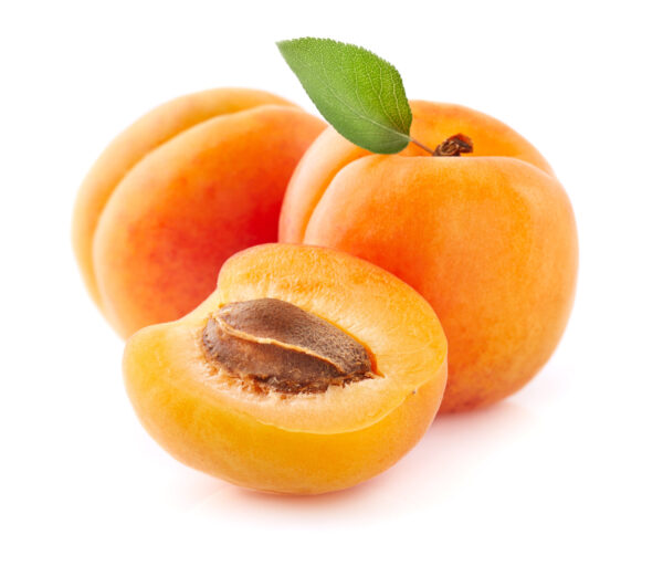 Katy Apricot