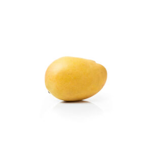 Glenn Mango
