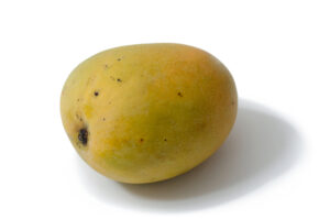 Venus Mango