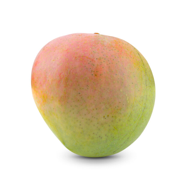 Bombay Mango