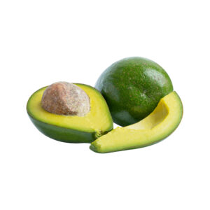 Utuado Dwarf Avocado