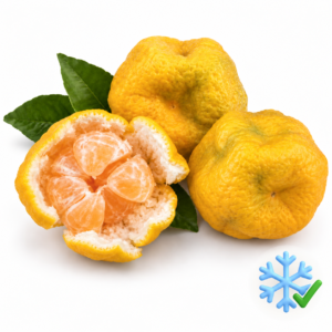 Keraji mandarins, whole and peeled, on white